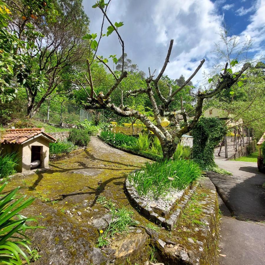 Pinheiro da Bemposta Watermill Moinho Garcia 호스텔 외부 사진