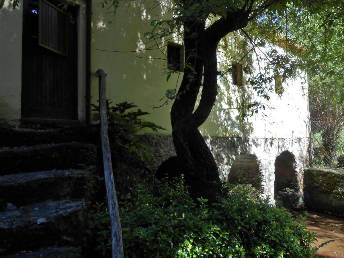 Pinheiro da Bemposta Watermill Moinho Garcia 호스텔 외부 사진