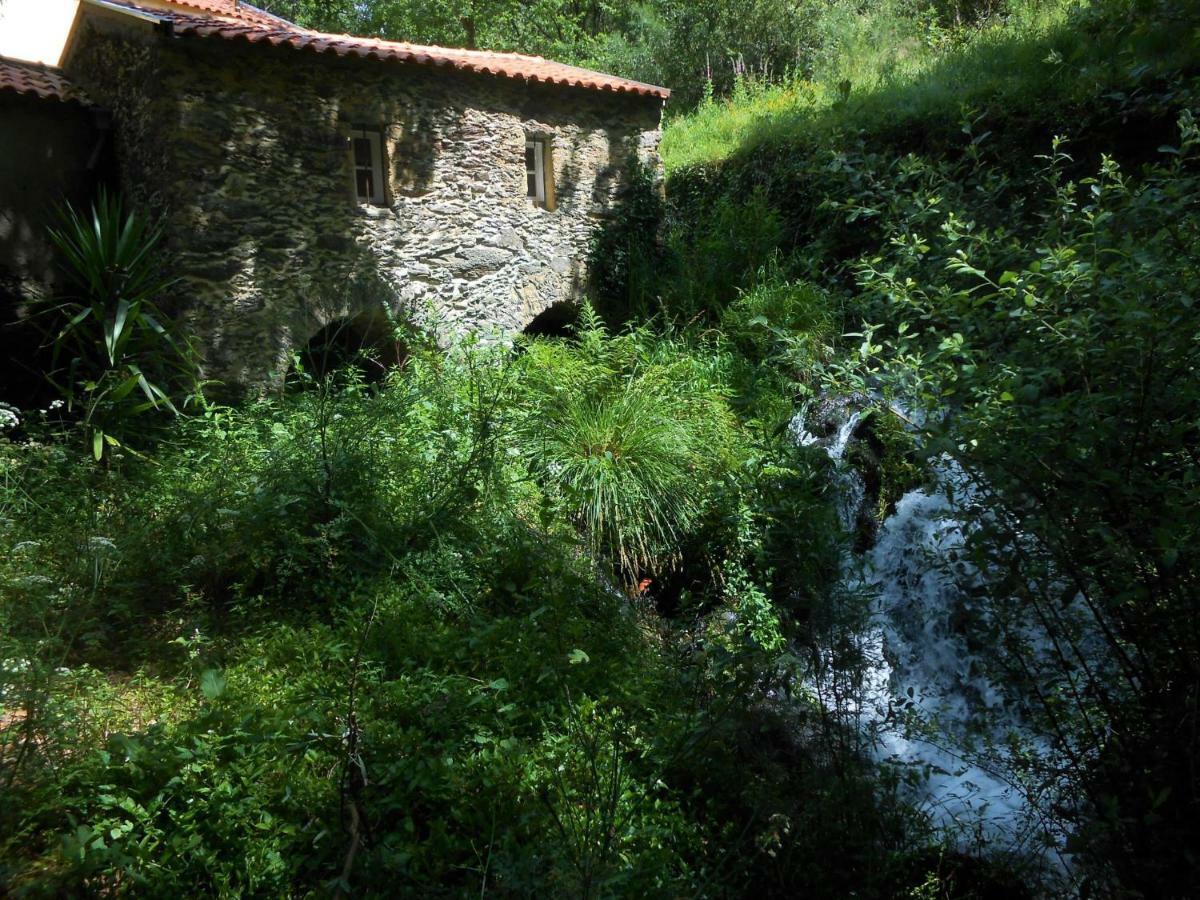 Pinheiro da Bemposta Watermill Moinho Garcia 호스텔 외부 사진